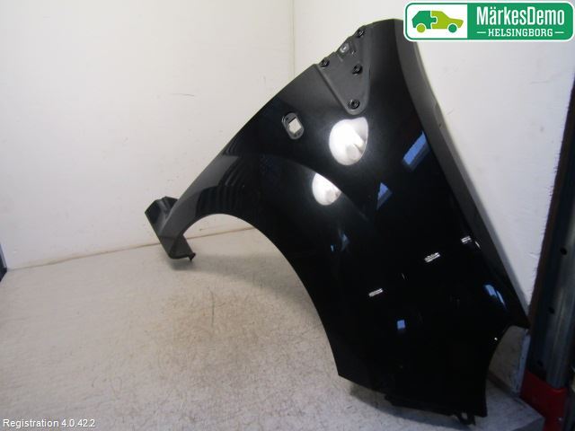 Front wing right RENAULT TWINGO II (CN0_)
