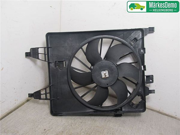 Ventilateur de radiateur électrique RENAULT KANGOO Express (FW0/1_)