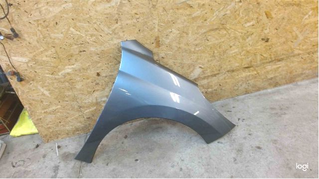 Front wing right PEUGEOT 207 (WA_, WC_)