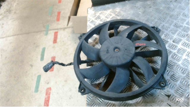 Radiator fan electrical CITROËN C4 II (B7)