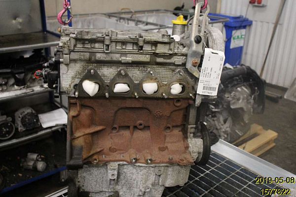 Motor RENAULT CLIO III (BR0/1, CR0/1)
