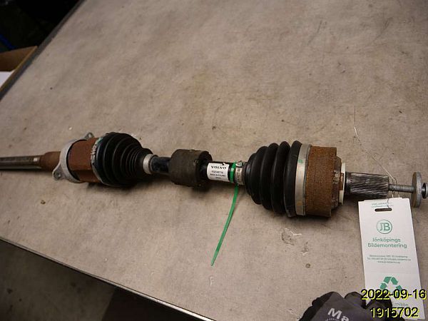 41mCkNoLHvL._AC_UF350,