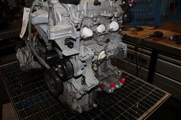 Motor RENAULT CLIO IV (BH_)