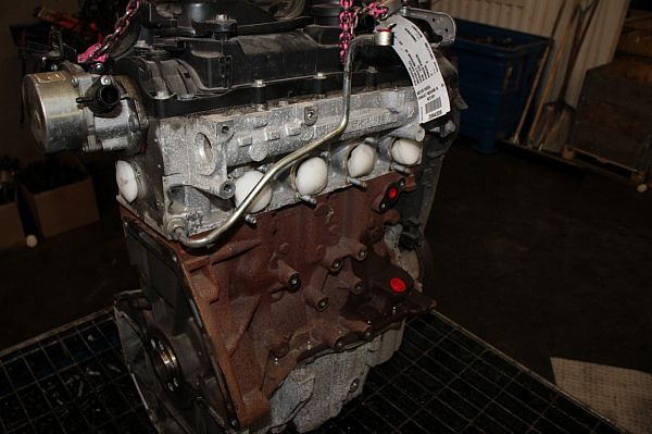 Motor RENAULT MEGANE III Grandtour (KZ0/1)