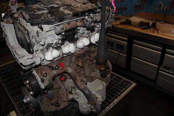 Motor RENAULT TRAFIC II Bus (JL)