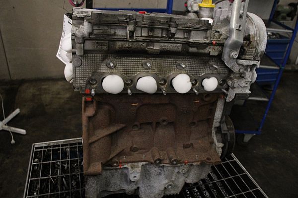 Motor RENAULT MEGANE III Grandtour (KZ0/1)