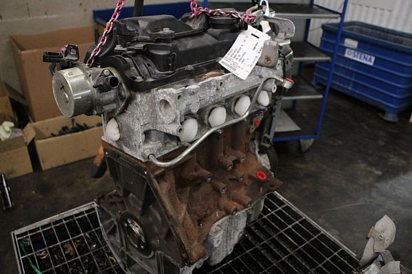 Motor RENAULT MEGANE III Grandtour (KZ0/1)