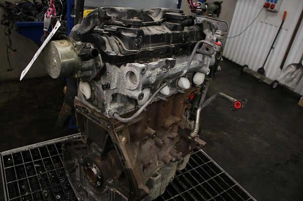 Motor RENAULT KANGOO Express (FW0/1_)
