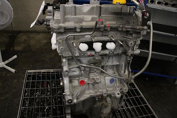 Motor RENAULT CAPTUR I (J5_, H5_)