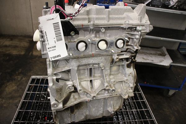 Motor DACIA DUSTER (HM_)