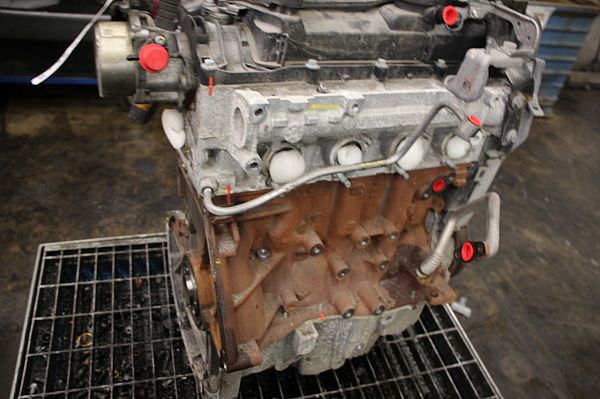 Motor RENAULT MEGANE III Hatchback (BZ0/1_, B3_)