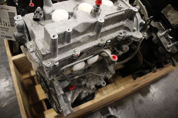 Motor RENAULT CLIO IV (BH_)