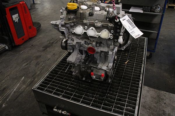 Motor RENAULT CAPTUR I (J5_, H5_)