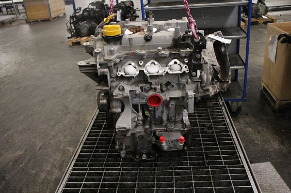Motor RENAULT CLIO IV (BH_)