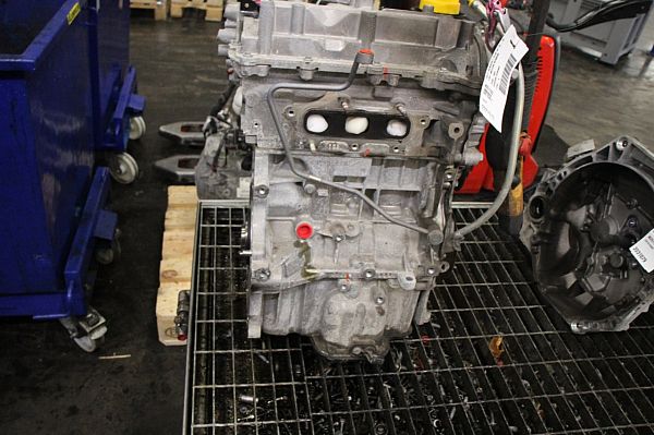 Motor RENAULT CLIO IV (BH_)