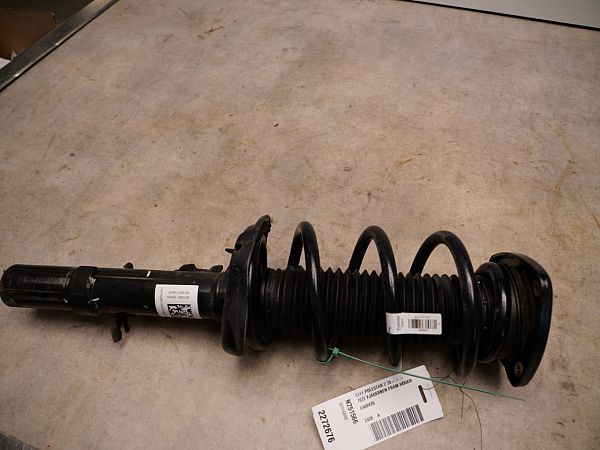 Federbein vorn POLESTAR POLESTAR 2