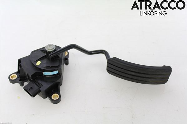 Gaspedal RENAULT CLIO III (BR0/1, CR0/1)