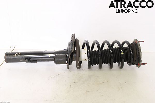 Federbein vorn LAND ROVER FREELANDER 2 (L359)