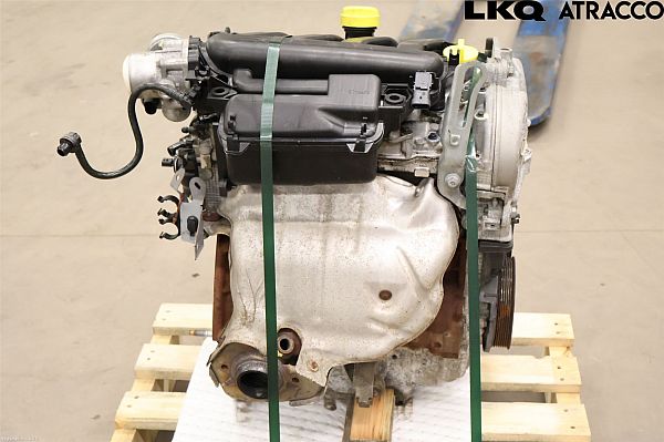 Motor RENAULT SCÉNIC III (JZ0/1_)