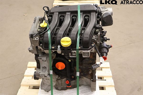 Motor RENAULT MEGANE III Hatchback (BZ0/1_, B3_)