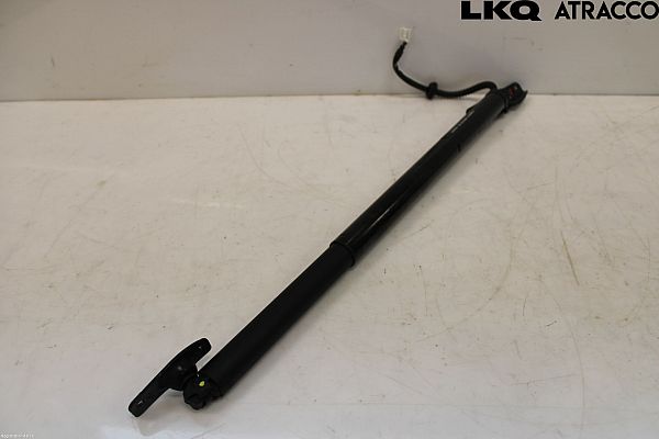 Heckklappe steuergerät SUBARU FORESTER (SK_)