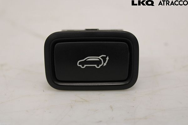 Tailgate opening switch