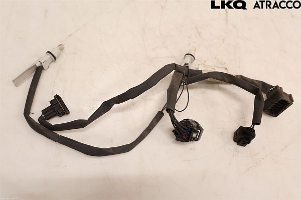 Headlight wiring loom
