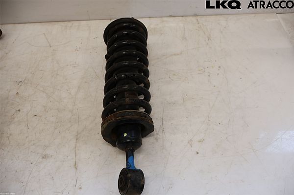 Federbein vorn NISSAN NAVARA NP300 (D40)