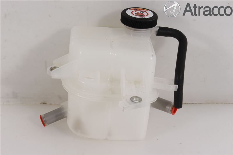 Fuel expansion tank