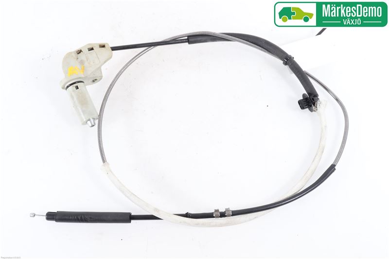 Dola789 Buzz - Xu hướng nổi bật trong cộng đồng game thủ và sân chơi trực tuyến