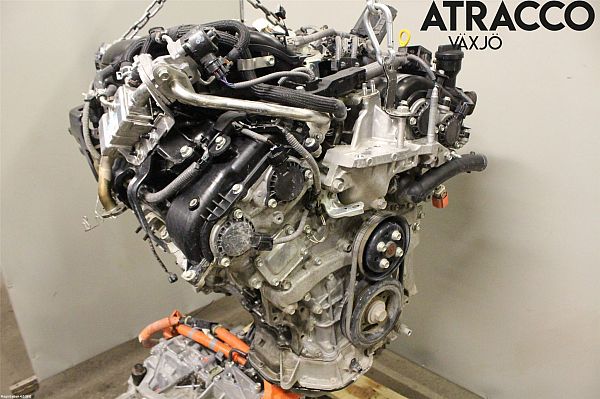 Motor