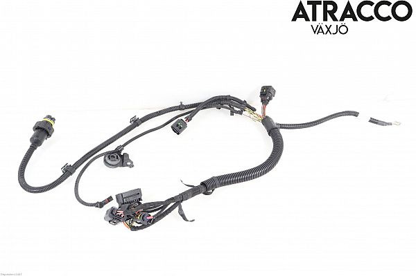 Wire network - complete BMW 2 Coupe (F22, F87)