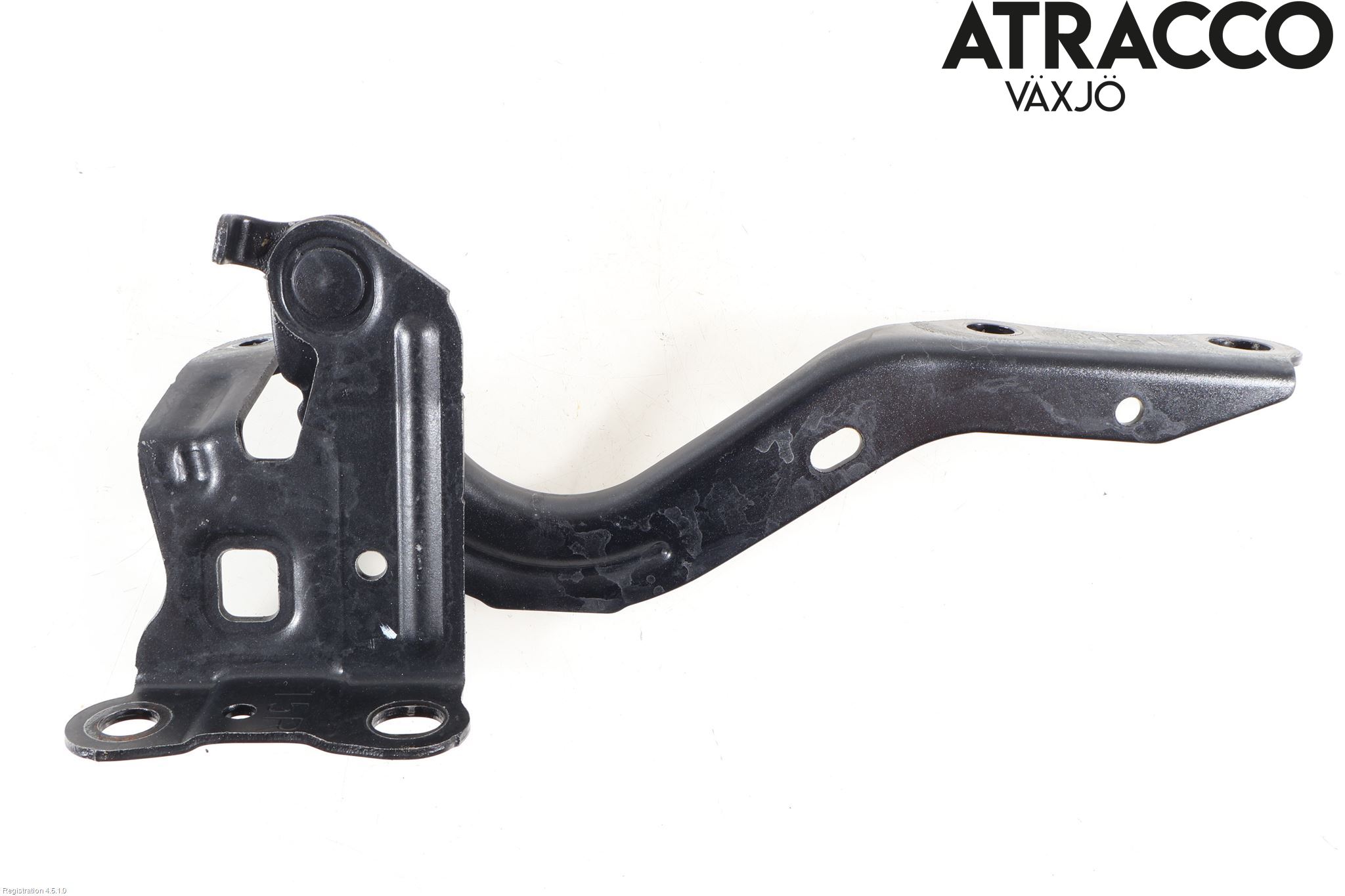 Panser hengsel / hengsler SUZUKI SWACE (AMZ_)