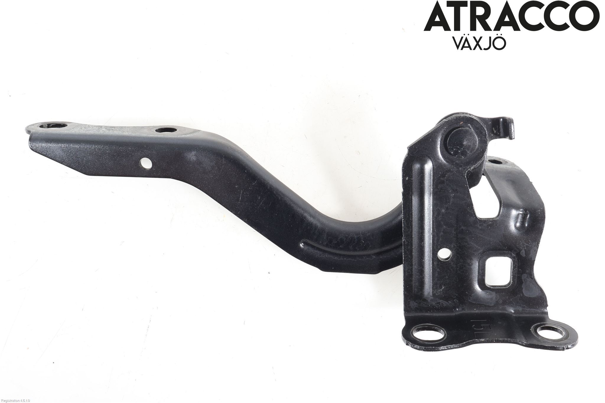 Panser hengsel / hengsler SUZUKI SWACE (AMZ_)