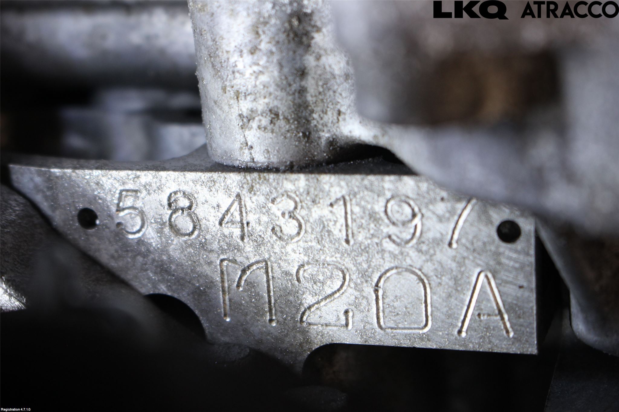 【U722】たぬき　確認用　10個 U722】たぬき 確認用 10個 1/10の確率でたぬきに有り金全部