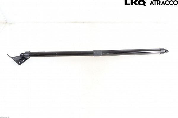 Bagklap styreenhed HONDA CR-V V (RW_, RT_)
