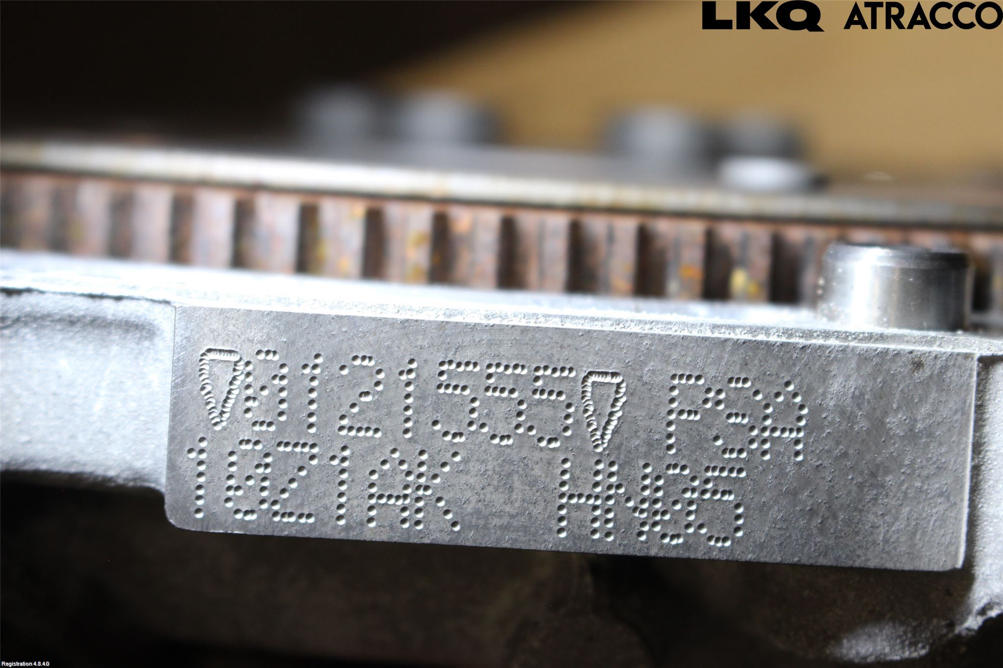 なっち 333280980015710_2.jpg?1687519683