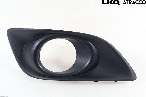 Front fog light grill