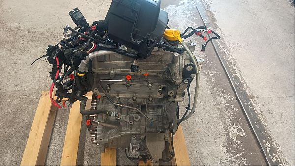 Motor RENAULT CLIO IV (BH_)