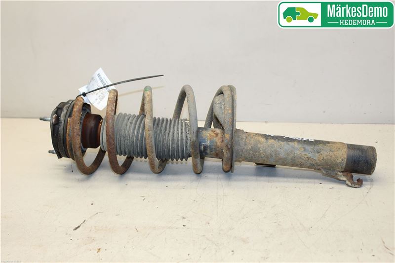 Fjederben for FORD TRANSIT CONNECT (P65_, P70_, P80_)