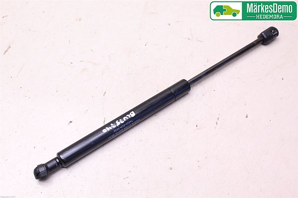 Rear window gas strut