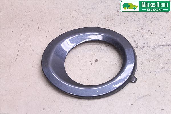 Front fog light grill