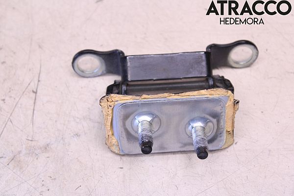 30716263 : Bagklapshængsel - Autoparts24