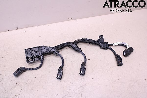 Wire network - complete TOYOTA RAV 4 V (_A5_, _H5_)