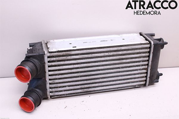 Heating element PEUGEOT 3008 MPV (0U_)