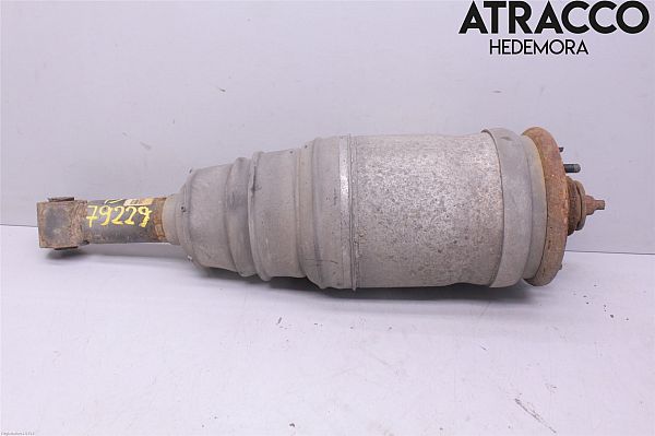 Shock absorber - rear LAND ROVER DISCOVERY IV (L319)