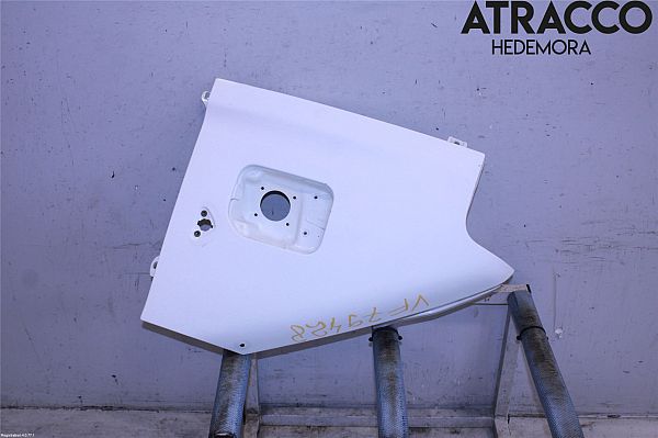 Front wing left FIAT DUCATO Platform/Chassis (244_)