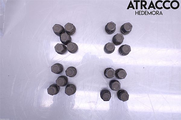 Wheel nut cap