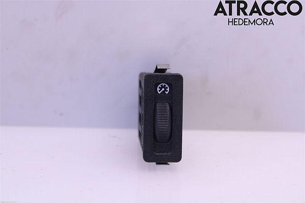 Panel lighting control switch