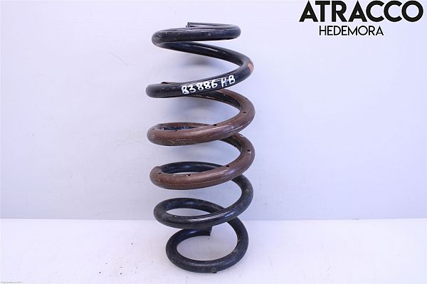 Rear spring - coil TOYOTA RAV 4 IV (_A4_)